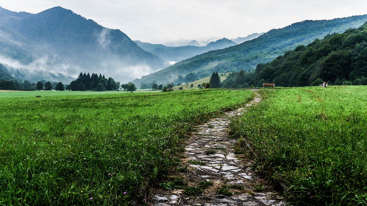 way, path, outdoor