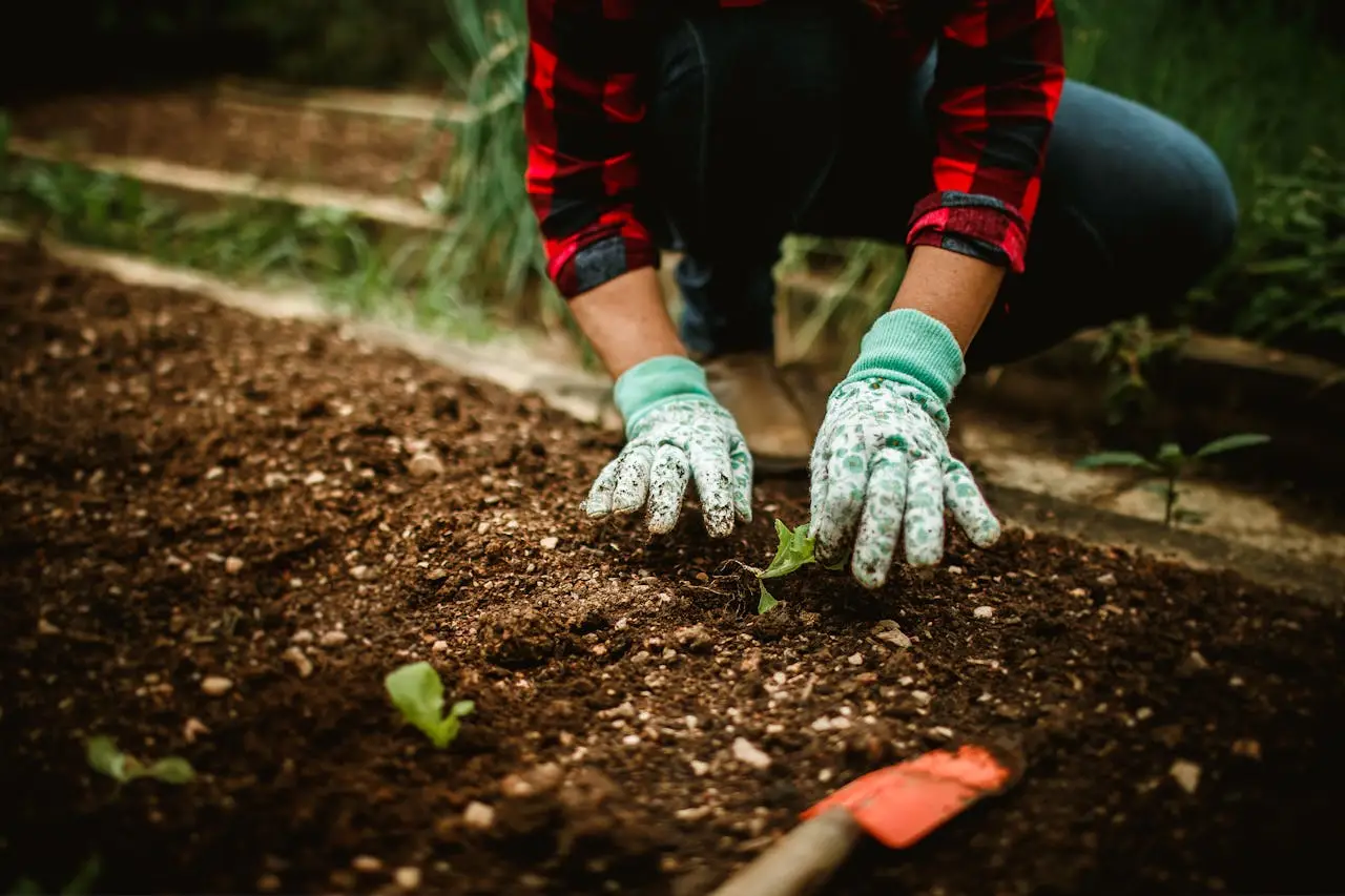 A person in gardening gloves is planting a seed