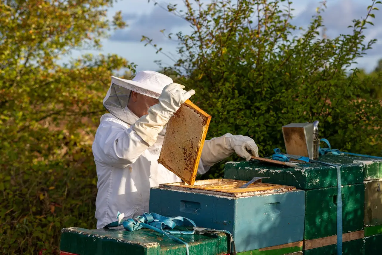 Bienen Kaj